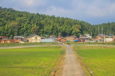 Japonya kırsalının manzarası. 30 Ekim 2013 Treni 'nde görünüm