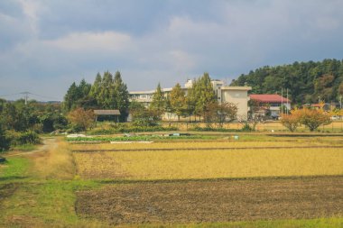 Japonya kırsalının manzarası. 30 Ekim 2013 Treni 'nde görünüm