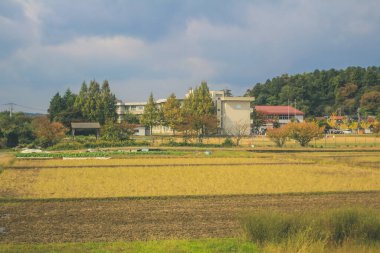 Japonya kırsalının manzarası. 30 Ekim 2013 Treni 'nde görünüm
