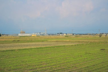 Japonya kırsalının manzarası. 30 Ekim 2013 Treni 'nde görünüm