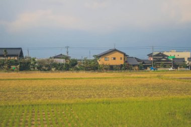 Japonya kırsalının manzarası. 30 Ekim 2013 Treni 'nde görünüm