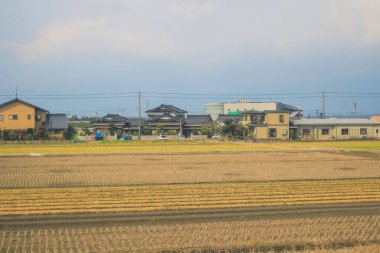 Japonya kırsalının manzarası. 30 Ekim 2013 Treni 'nde görünüm