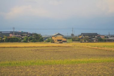 Japonya kırsalının manzarası. 30 Ekim 2013 Treni 'nde görünüm