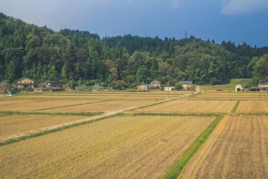 Japonya kırsalının manzarası. 30 Ekim 2013 Treni 'nde görünüm