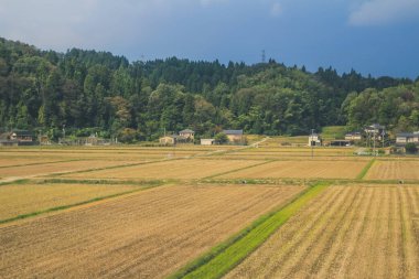 Japonya kırsalının manzarası. 30 Ekim 2013 Treni 'nde görünüm