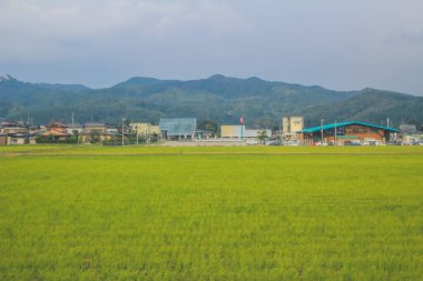 Japonya kırsalının manzarası. 30 Ekim 2013 Treni 'nde görünüm