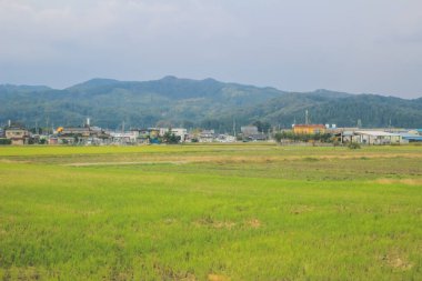 Japonya kırsalının manzarası. 30 Ekim 2013 Treni 'nde görünüm