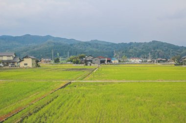 Japonya kırsalının manzarası. 30 Ekim 2013 Treni 'nde görünüm