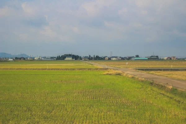 日本の田舎の風景 2013年10月30日の列車の様子 — ストック写真