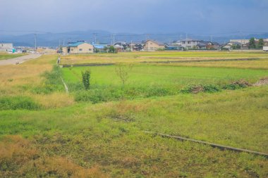 Japonya kırsalının manzarası. 30 Ekim 2013 Treni 'nde görünüm