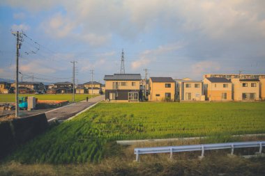 Japonya kırsalının manzarası. 30 Ekim 2013 Treni 'nde görünüm