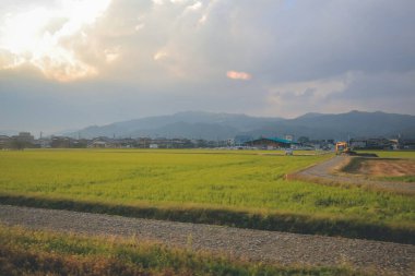 Japonya kırsalının manzarası. 30 Ekim 2013 Treni 'nde görünüm