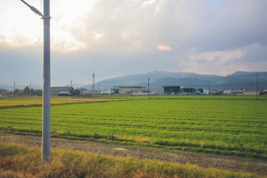 Japonya kırsalının manzarası. 30 Ekim 2013 Treni 'nde görünüm