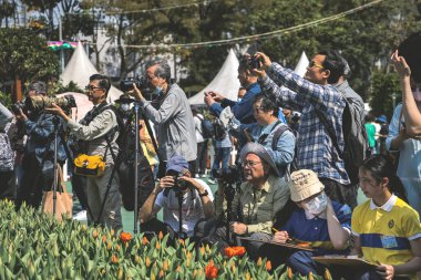 10 Mart 2023, Çiçek Şovu Victoria Park 'ta Hong Kong.