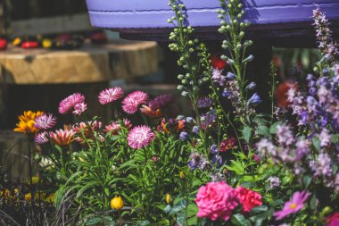 Peyzaj tasarımı ev bahçesi, çiçek fuarı Hong Kong 10 Mart 2023