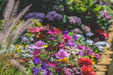 Peyzaj tasarımı ev bahçesi, çiçek fuarı Hong Kong 10 Mart 2023