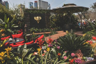 Peyzaj tasarımı ev bahçesi, çiçek fuarı Hong Kong 10 Mart 2023