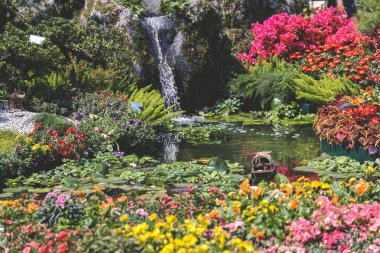 Peyzaj tasarımı ev bahçesi, çiçek fuarı Hong Kong 10 Mart 2023