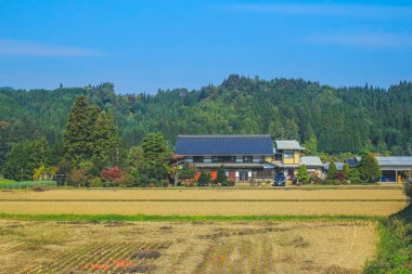 31 Ekim 2013 Japonya 'nın Takayama kırsalının sonbahar manzarası