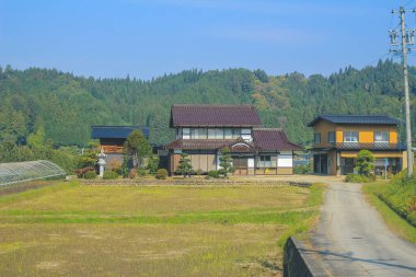 31 Ekim 2013 Japonya 'nın Takayama kırsalının sonbahar manzarası
