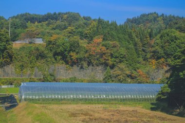 31 Ekim 2013 Japonya 'nın Takayama kırsalının sonbahar manzarası