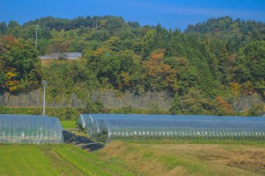 31 Ekim 2013 Japonya 'nın Takayama kırsalının sonbahar manzarası