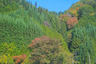 31 Ekim 2013 Japonya 'nın Takayama kırsalının sonbahar manzarası