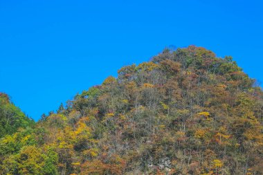 31 Ekim 2013 Japonya 'nın Takayama kırsalının sonbahar manzarası