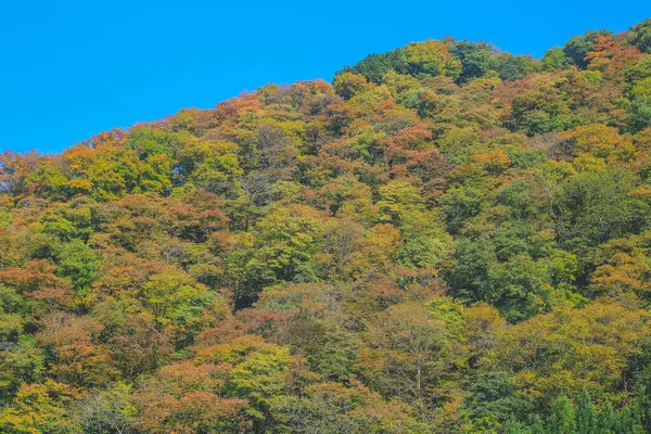 stock image 31 Oct 2013 the fall season landscape of the Takayama countryside, Japan