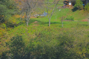 31 Ekim 2013 Japonya 'nın Takayama kırsalının sonbahar manzarası