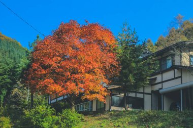 31 Ekim 2013 Takayama kırsalının manzarası, Japonya