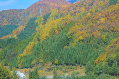 31 Ekim 2013 Japonya 'nın Takayama kırsalının sonbahar manzarası
