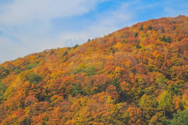 31 Ekim 2013 Japonya 'nın Takayama kırsalının sonbahar manzarası