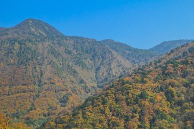 31 Ekim 2013 Japonya 'nın Takayama kırsalının sonbahar manzarası