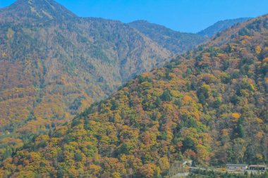 31 Ekim 2013 Japonya 'nın Takayama kırsalının sonbahar manzarası