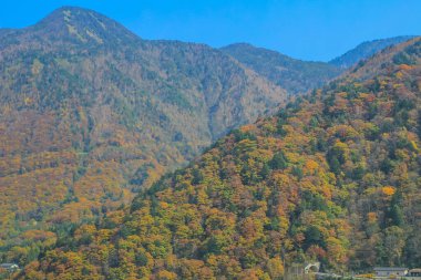31 Ekim 2013 Japonya 'nın Takayama kırsalının sonbahar manzarası