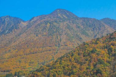 31 Ekim 2013 Japonya 'nın Takayama kırsalının sonbahar manzarası