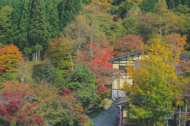 31 Ekim 2013 Takayama kırsalının manzarası, Japonya