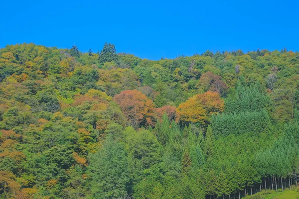 stock image 31 Oct 2013 the fall season landscape of the Takayama countryside, Japan