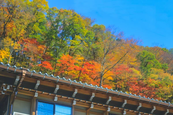 Okt 2013 Die Landschaft Der Takayama Landschaft Japan — Stockfoto