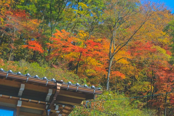 Okt 2013 Die Landschaft Der Takayama Landschaft Japan — Stockfoto