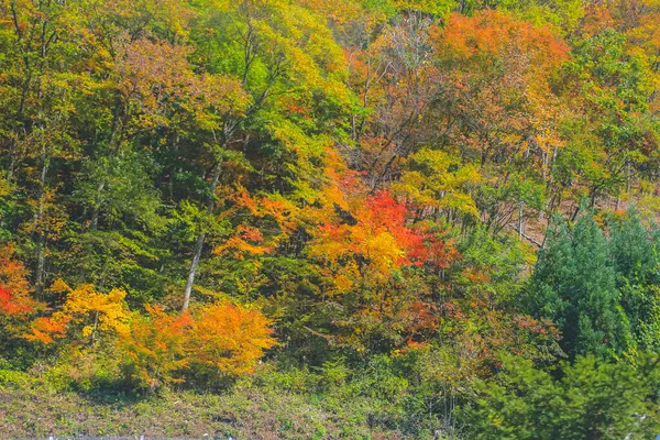 Out 2013 Paisagem Temporada Outono Campo Takayama Japão — Fotografia de Stock