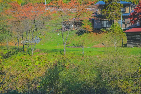 31 Ekim 2013 Japonya 'nın Takayama kırsalının sonbahar manzarası