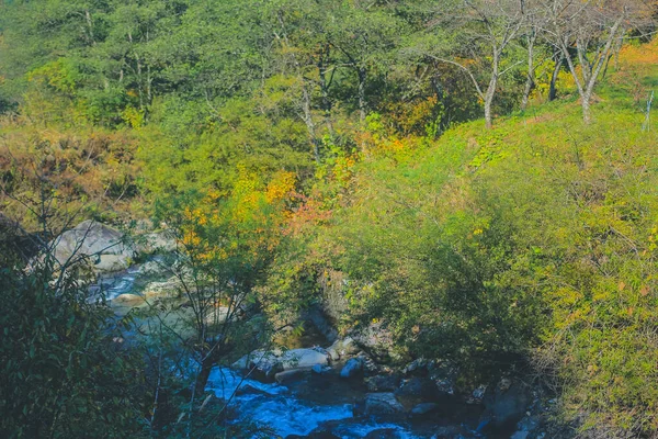 Окт 2013 Ландшафт Осеннего Сезона Сельской Местности Такаяма Япония — стоковое фото