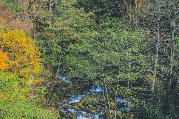 Okt 2013 Het Herfstseizoen Landschap Van Het Takayama Platteland Japan — Stockfoto