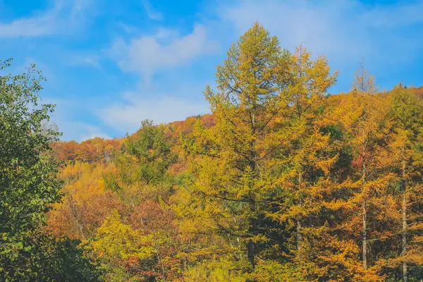 Paź 2013 Krajobraz Jesienny Wsi Takayama Japonia — Zdjęcie stockowe