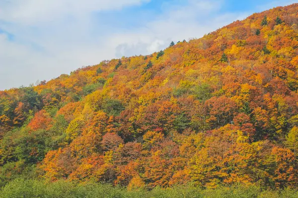 Paź 2013 Krajobraz Jesienny Wsi Takayama Japonia — Zdjęcie stockowe