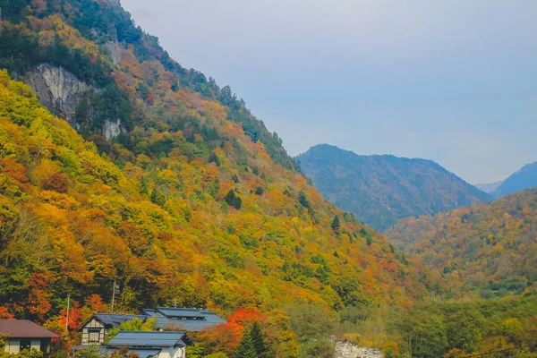 Října 2013 Podzimní Krajina Takayamské Krajiny Japonsko — Stock fotografie