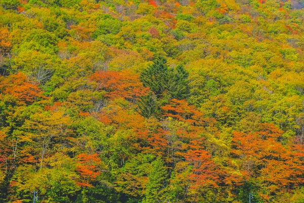 2013年10月31日高山地方の秋の風景 — ストック写真