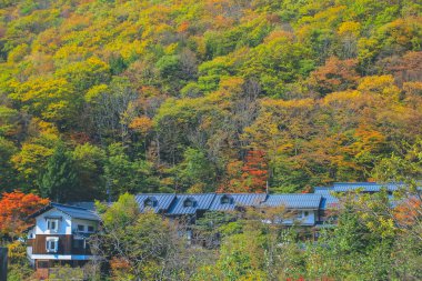 31 Ekim 2013 Takayama kırsalının manzarası, Japonya